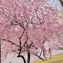 北京旅游 缩略图 3