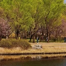 北京旅游 缩略图 4