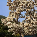 北京旅游 缩略图 6