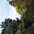 北京旅游 缩略图 11