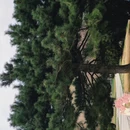 北京旅游 缩略图 7