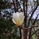 北京旅游 缩略图 14