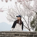 北京旅游 缩略图 5
