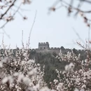 北京旅游 缩略图 7