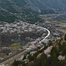 北京旅游 缩略图 4