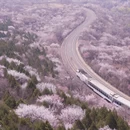 北京旅游 缩略图 1