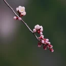 北京旅游 缩略图 5