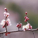 北京旅游 缩略图 8