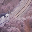 北京旅游 缩略图 3
