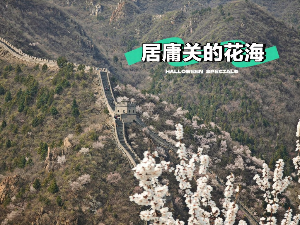 北京旅游