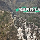 北京旅游 缩略图 1