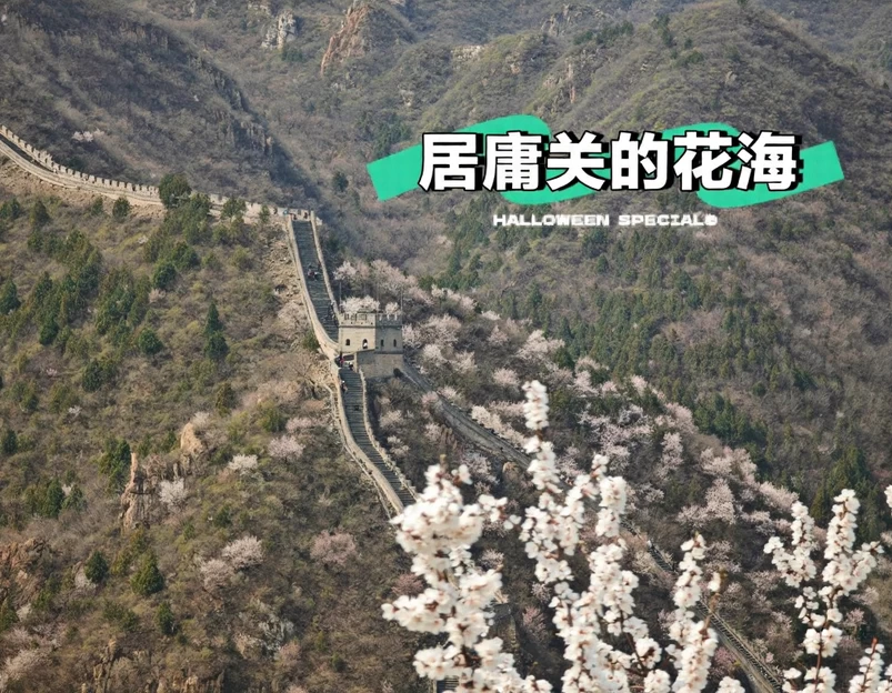北京旅游 1