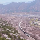 北京旅游 缩略图 4