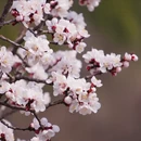 北京旅游 缩略图 6
