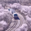 北京旅游 缩略图 6