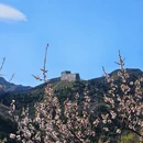 北京旅游 缩略图 2