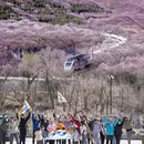 北京旅游 缩略图 7