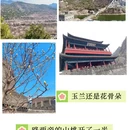 北京旅游 缩略图 4