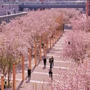 北京旅游 缩略图 10
