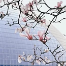 北京旅游 缩略图 9
