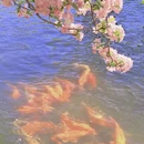 北京旅游 缩略图 11