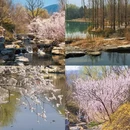 北京旅游 缩略图 1