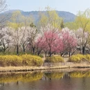 北京旅游 缩略图 3