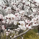 北京旅游 缩略图 3
