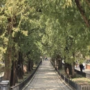 北京旅游 缩略图 10