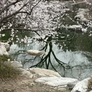 北京旅游 缩略图 7