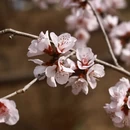 北京旅游 缩略图 12