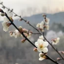 北京旅游 缩略图 11