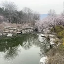 北京旅游 缩略图 4
