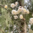 北京旅游 缩略图 18