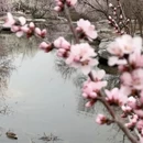 北京旅游 缩略图 9