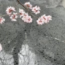 北京旅游 缩略图 17