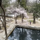 北京旅游 缩略图 16