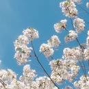 北京旅游 缩略图 8