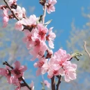 北京旅游 缩略图 7
