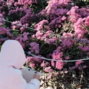 北京旅游 缩略图 11
