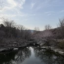北京旅游 缩略图 3