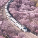 北京旅游 缩略图 1