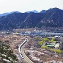 北京旅游 缩略图 2