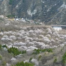 北京旅游 缩略图 2