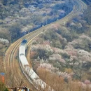 北京旅游 缩略图 2