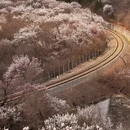 北京旅游 缩略图 2