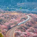 北京旅游 缩略图 1