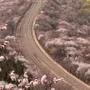 北京旅游 缩略图 1