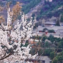 北京旅游 缩略图 2