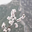 北京旅游 缩略图 4
